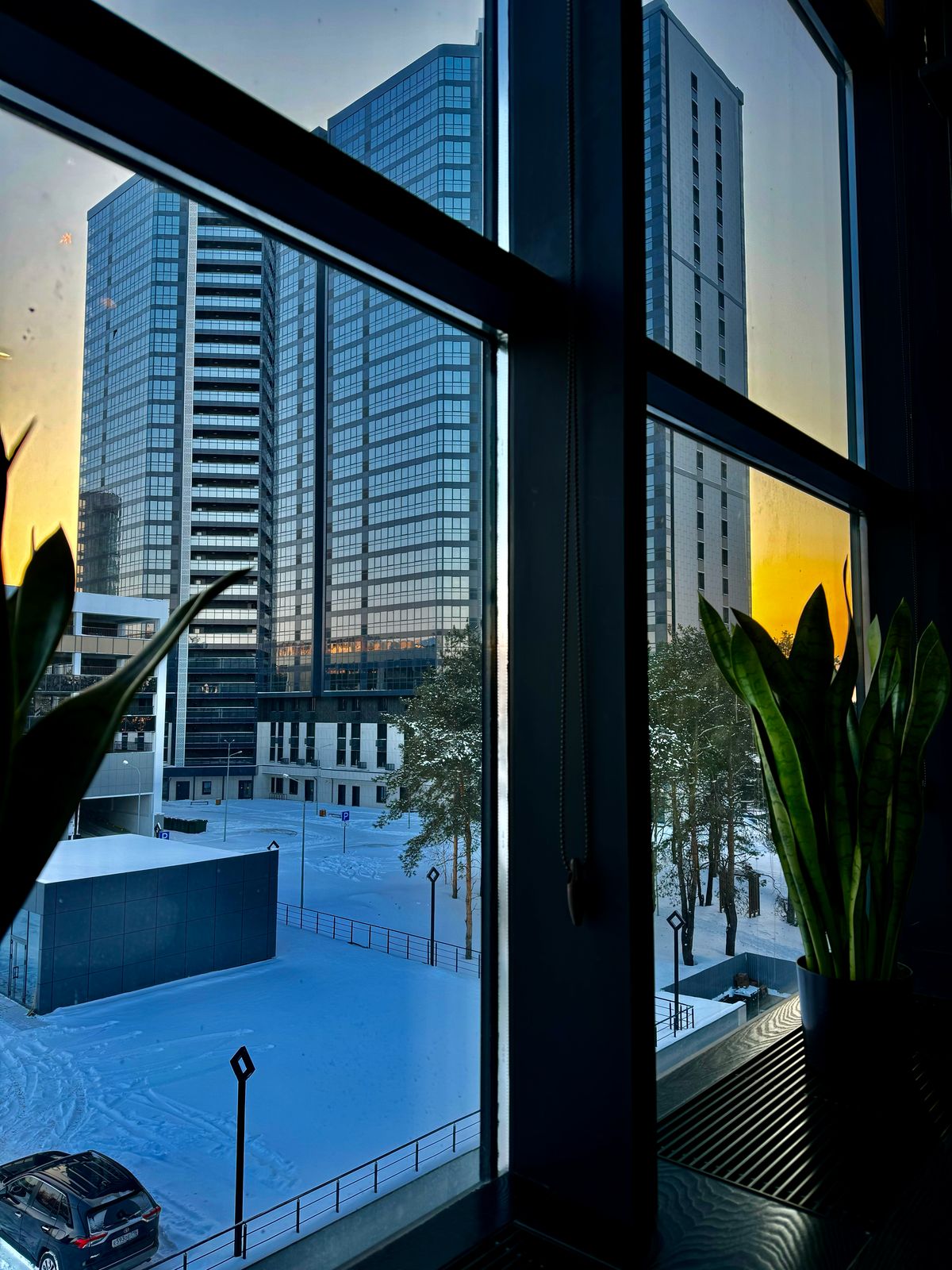 WhatsApp Image 2025-03-13 at 10.58.35.jpeg